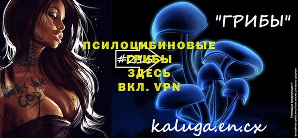 твердый Карпинск