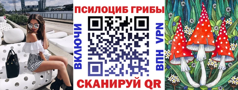 Купить  Верхняя Тура  Псилоцибиновые грибы мицелий 